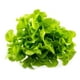 thumbnail image 1 of Lechuga Hoja De Roble Verde Hidroponica Bolsa, 1 Un, 1 of 2