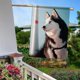 thumbnail image 5 of Bandera de Jardín Temática Husky Siberiano Desmarcar 28cm x 45cm, 5 of 5