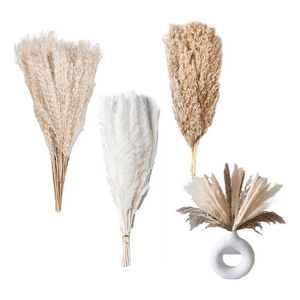 Genérico - Pampas Secas 90 Uds Plantas Decorativas