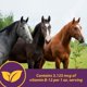 thumbnail image 4 of Suplemento Vita B-12 Crumbles de Horse Health, 1,4 kg, 48 días, 4 of 7