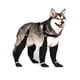 thumbnail image 2 of Botines de suspensión de perro, pata bota leggings antideslizante, pantalones de nieve para mascotas con botas adjuntas impermeables, zapatos de suspensión ajustables para perros protector d, 2 of 3