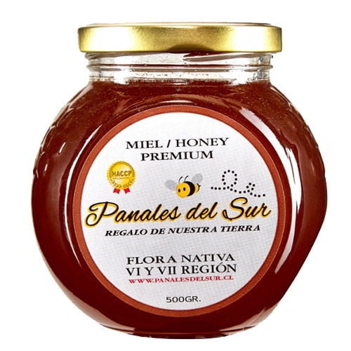 Frasco Miel De Abeja Vi Y Vii Región Flora Nativa 500 g Panales Del Sur