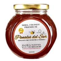 Frasco Miel De Abeja Vi Y Vii Región Flora Nativa 500 G Panales Del Sur