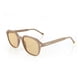 thumbnail image 2 of Lentes De Sol Stella C3 Marrón Unisex, 2 of 3