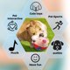 thumbnail image 5 of Juguete interactivo de peluche para perro Geojec, bola sacudible azul, 5 of 9
