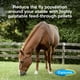 thumbnail image 2 of Feed Through Fly Control Simplifly Para Caballos 1 7 Kg, 2 of 9