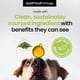 thumbnail image 3 of Suplemento Omega Plus Omega 3 240 Ml Para Perros, 3 of 6