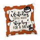 thumbnail image 4 of Funda De Almohada De Halloween Funda De Cojín Suave De Halloween Para Regalo Oficina Vacaciones Estilo B, 4 of 5