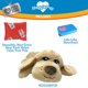 thumbnail image 3 of Behavioral Aid Toy Pets Know Best HuggiePup Cuddly Puppy, 3 of 6