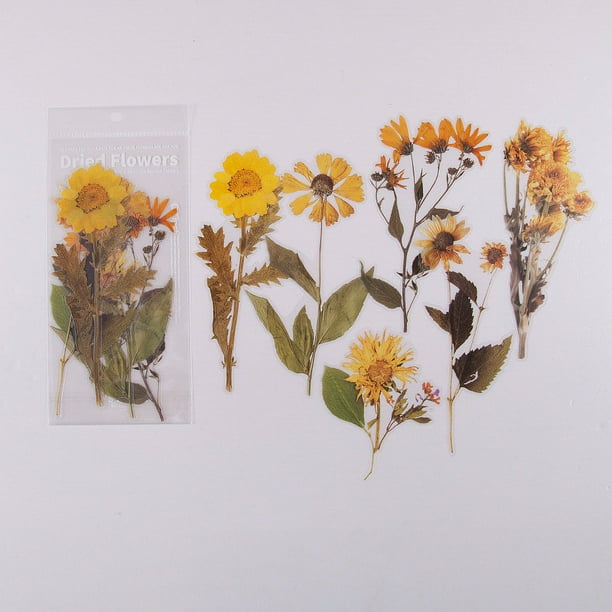 6pcs/pack Flower Shop Series Decorative Stickers - Perfect for Scrapbooking, Labeling, Diary Albums & More!