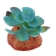 thumbnail image 2 of Acuario Pecera Adornos Plantas Suculentas Reptil Escondite Decoración D, 2 of 5