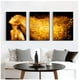 thumbnail image 1 of Cuadros Decorativos Mujer Dorada Pack X 3 Uds 35x50 Cm C/u, 1 of 2