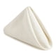 thumbnail image 1 of REGALWOVEN Paquete de 6 Servilletas de Tela de Algodón - Lavables y Reutilizables para Restaurantes, Bodas, Eventos y Fiestas Beige 18x18 pulgadas, 1 of 6