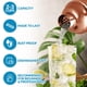 thumbnail image 2 of Set de coctelera Zulay Kitchen de acero inoxidable 700 ml, 2 of 7