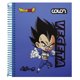 thumbnail image 4 of Cuaderno Pocket Te Dragon Ball 5Mm 90H Colon, 4 of 21
