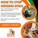 thumbnail image 3 of La zona de aerosol Dog Prevention protege los agujeros que no se cavan, 3,78 litros, 3 of 7