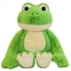 thumbnail image 1 of Peluche De Rana Abrazable Tierno Suave Niños Bebes, 1 of 2