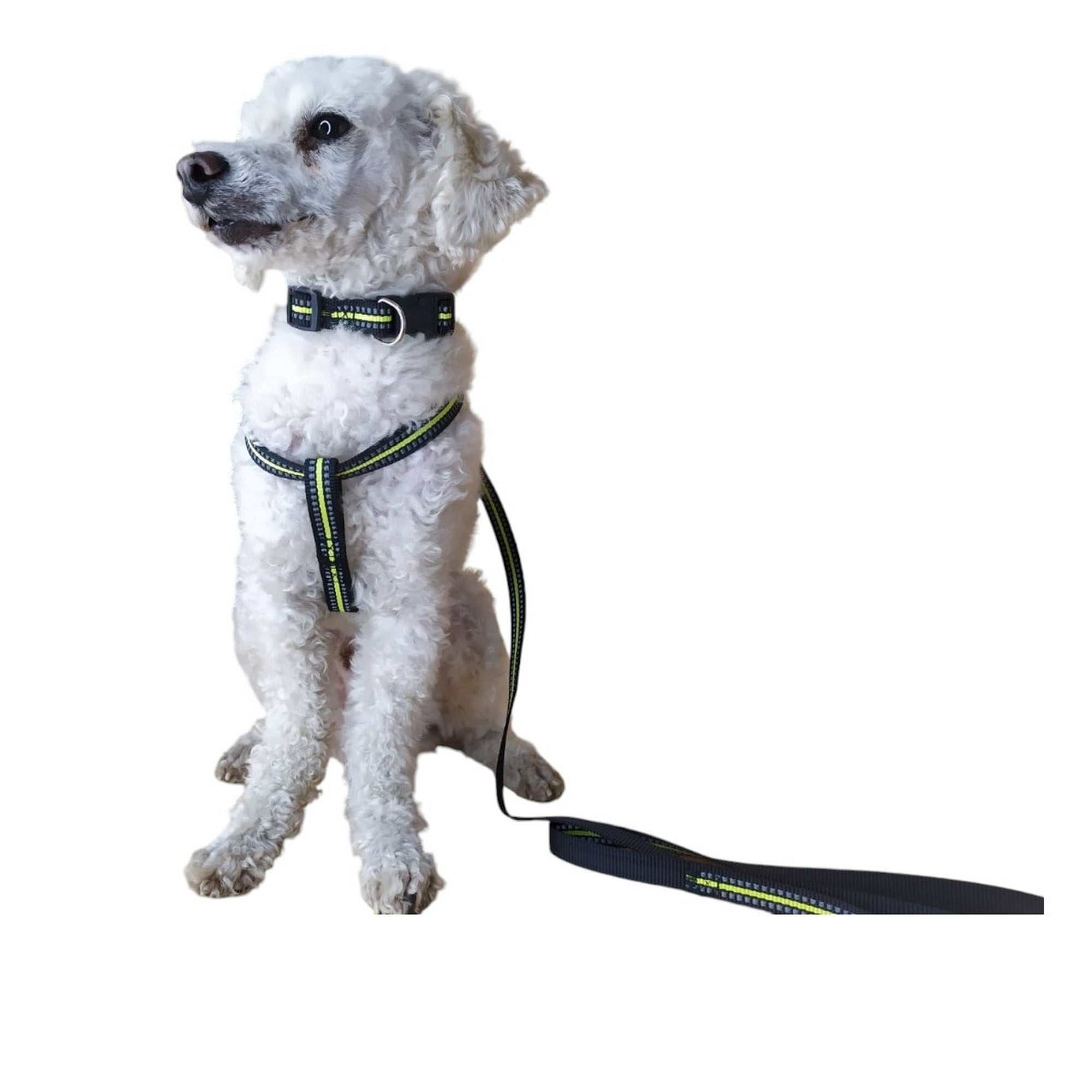 Defensor - Correa, Arnés Y Collar Para Perros Pequeños Talla S