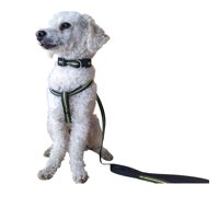 Defensor - Correa, Arnés Y Collar Para Perros Pequeños Talla S