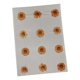 thumbnail image 5 of 12 Flores Prensadas Secas Para Manualidades, Marcapáginas, Sobres, Fabricación De Jabón, Color Naranja, 5 of 5