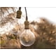 thumbnail image 3 of Ampolleta Led Globo Edison Vintage Clásico Retro 6w, 3 of 3