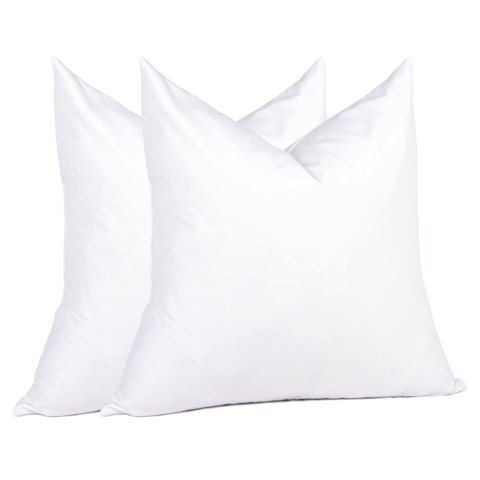 Insertos De Almohada Puredown Euro 26 X 26 Cm (Paquete De 2), Color Blanco