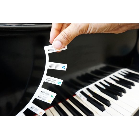 Etiquetas de Silicona para Piano de 88 Teclas Plum Rose