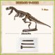 thumbnail image 2 of Kit de excavación de fósiles de dinosaurios VIBIRIT Dig Up Skeleton Set para niños, 2 of 8