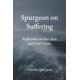 thumbnail image 1 of Libro Majosta – Spurgeon sobre el sufrimiento, 1 of 1