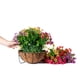 thumbnail image 5 of Cesta colgante artificial con plantas y flores HyeFlora Daisy, 5 of 8
