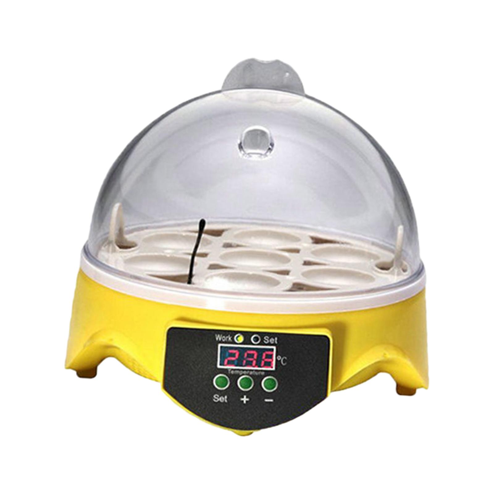 Magideal - 7 Incubadoras De Huevos, Máquina Incubadora, Tapas Transparentes, Incubadoras De Pollos, Incubadoras De Pollos Para Incubar Pájaros, Loros, Pollos De