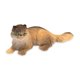 thumbnail image 5 of Educational Discovery Dig MindWare Dig It Up Cats, paquete de 12, 5 of 7