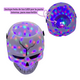 thumbnail image 3 of Balde Calavera Con Luz Dulces Halloween Decoración, 3 of 6