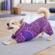 thumbnail image 5 of Suéter para perro Pet Life ® Active Downward-Dog de cuerpo completo para fitness, 5 of 9