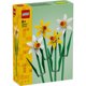 thumbnail image 1 of Bloques de construcción Botanical Narcisos, 1 of 3