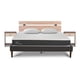 thumbnail image 1 of Cama Europea Curve New Ortopedic 2 Plazas + 2 Alm + Set Olmo 2 Pza, 1 of 10