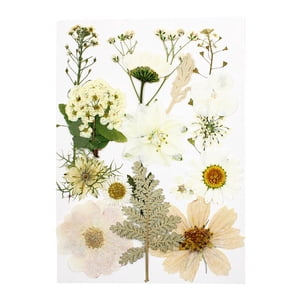 Magideal - Flores Prensadas Secas Reales Flores Secas Naturales Hojas Flores Secas Flores Mixtas Para Bricolaje Resina Uñas Joyería Colgante Artesanía Blanco