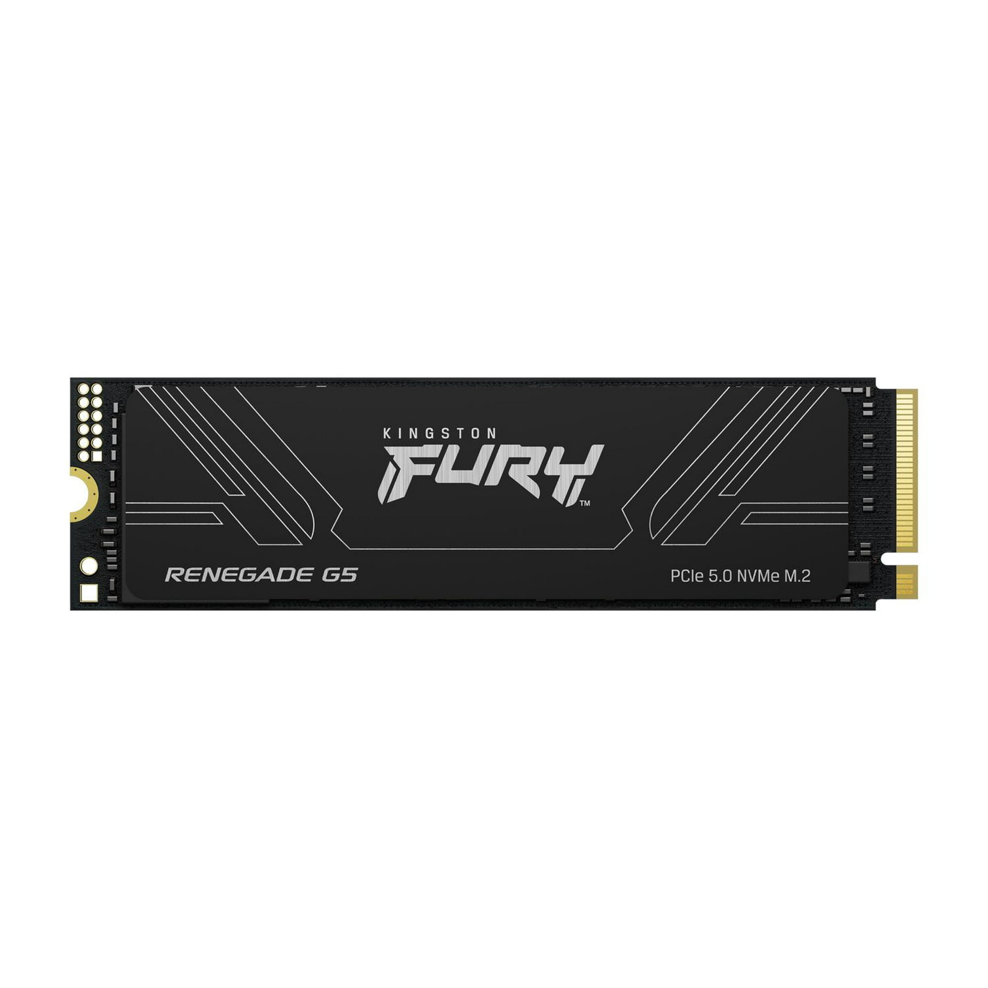 Unidad Ssd Kingston Fury Renegade G5 1tb M.2 2280 Negro