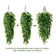 thumbnail image 3 of 4pcs Planta Colgante Artificiales Hojas Redonda De Eucalipto 75cm Verde, 3 of 6