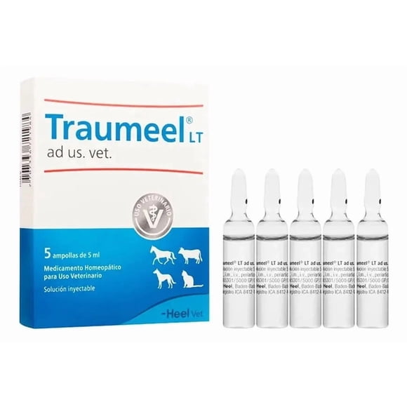 Traumeel Ampollas 5 Ml 5 Unidades Uso Veterinario