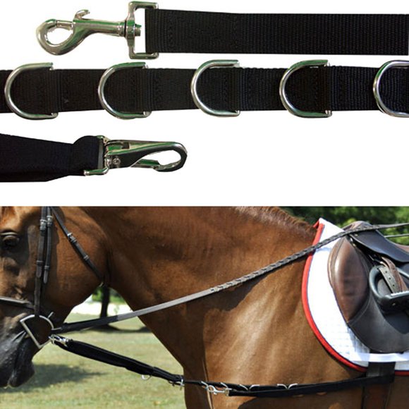 Cabestro Intrepid International 160 cm de Nylon Elástico
