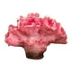 thumbnail image 1 of Fondo De Accesorios De Foto De Coral Artificial Mini Para Accesorios De Oficina De Acuario, 1 of 5