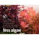 thumbnail image 4 of Fertilizante THE 2HR AQUARIST APT 1 Zero 1000 ml, 4 of 9