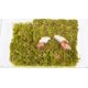 thumbnail image 2 of VIVARIUM Jinymral Kit para Caracoles 28,5 × 20 × 15 cm con Pared de Escalada, 2 of 5
