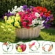 thumbnail image 4 of Flores Artificiales 24 Ramos De Seda Resistentes A Los Rayos Uv, 4 of 9
