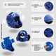 thumbnail image 3 of Casco Protector Deportivo Adulto XL – Espuma Alta Densidad, 3 of 3