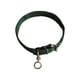 thumbnail image 1 of Collar Para Perros Con Hebilla De Metal Resistente Para Pasear A Los Amantes De Los Perros, Regalos Para Correr M, 1 of 5