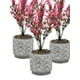 thumbnail image 1 of Plantita Artificial Deco Altura .34 Cm.., 1 of 2