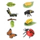 thumbnail image 2 of Material Didáctico Del Ciclo De Vida Animal En El Aula, 2 of 5