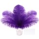 thumbnail image 1 of Plumas de avestruz SOGUGOM 30 piezas 20-25 cm moradas, 1 of 6
